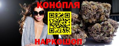 индика Моздок