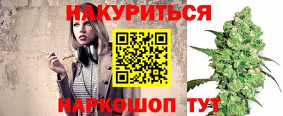 индика Моздок