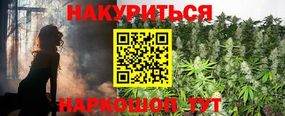 индика Моздок