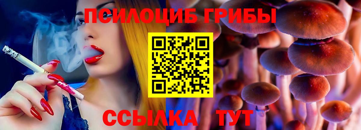 Псилоцибиновые грибы прущие грибы Альметьевск